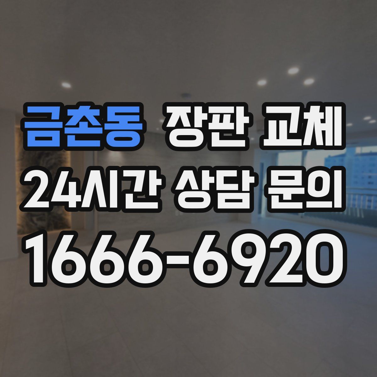 금촌동 장판 교체