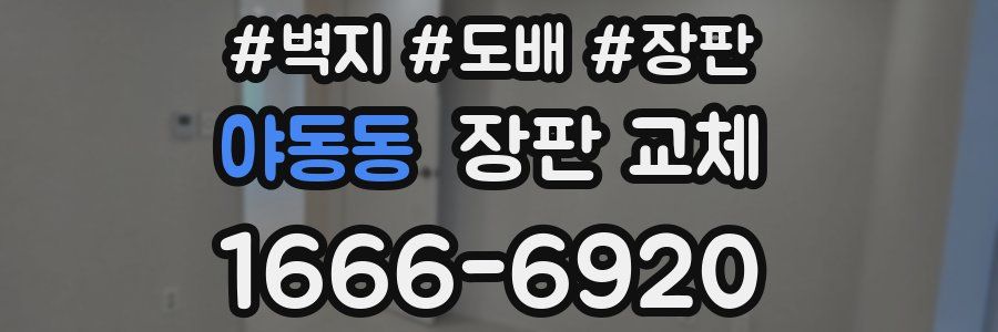 야동동 장판 교체