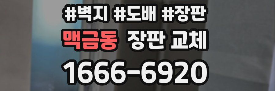 맥금동 장판 교체