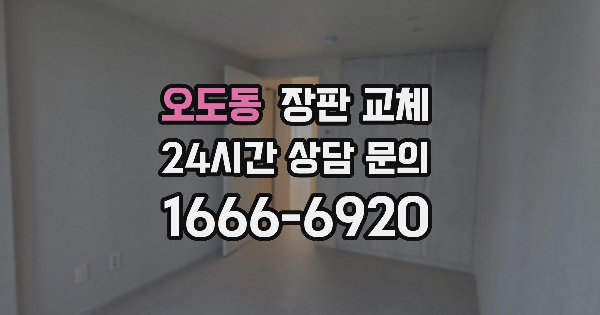 오도동 장판 교체