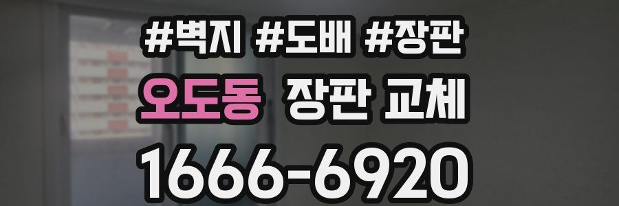 오도동 장판 교체