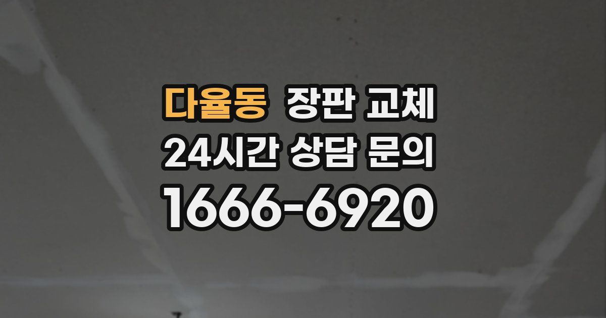 다율동 장판 교체