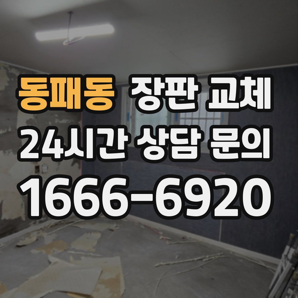 동패동 장판 교체