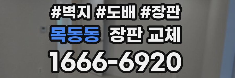 목동동 장판 교체
