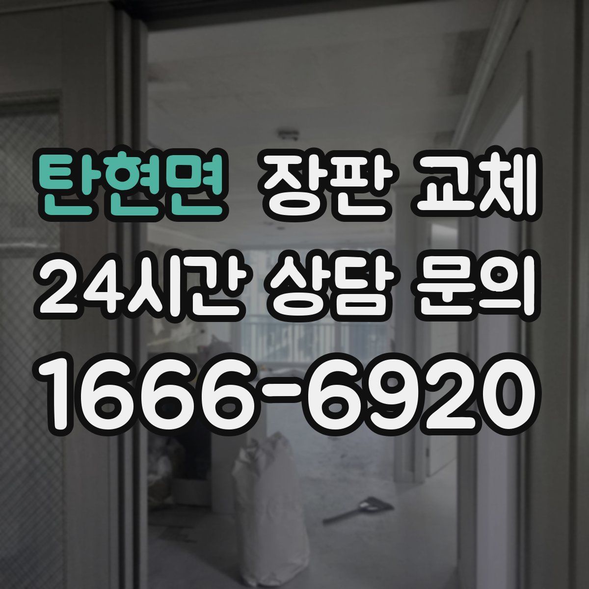 탄현면 장판 교체