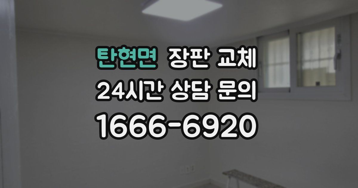탄현면 장판 교체