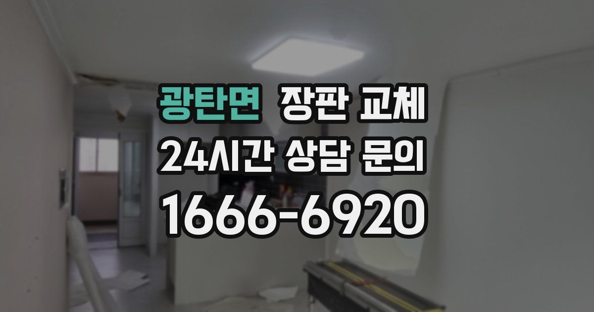 광탄면 장판 교체