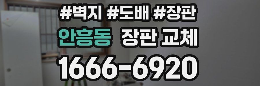 안흥동 장판 교체
