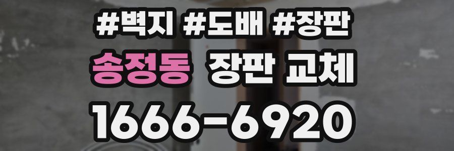 송정동 장판 교체