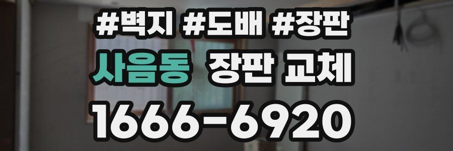 사음동 장판 교체