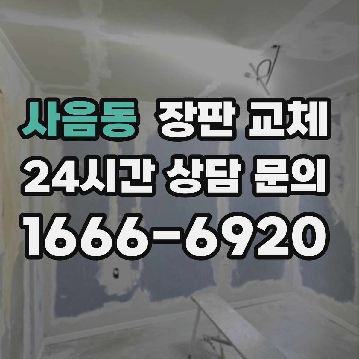 사음동 장판 교체
