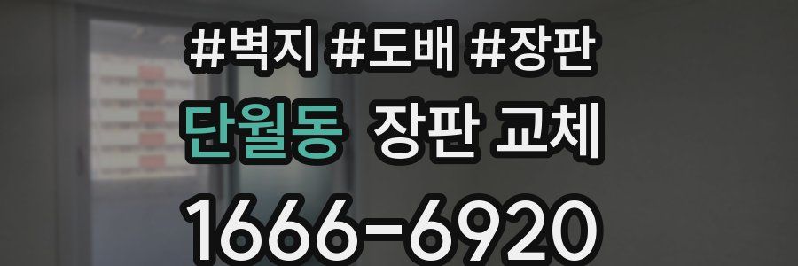 단월동 장판 교체