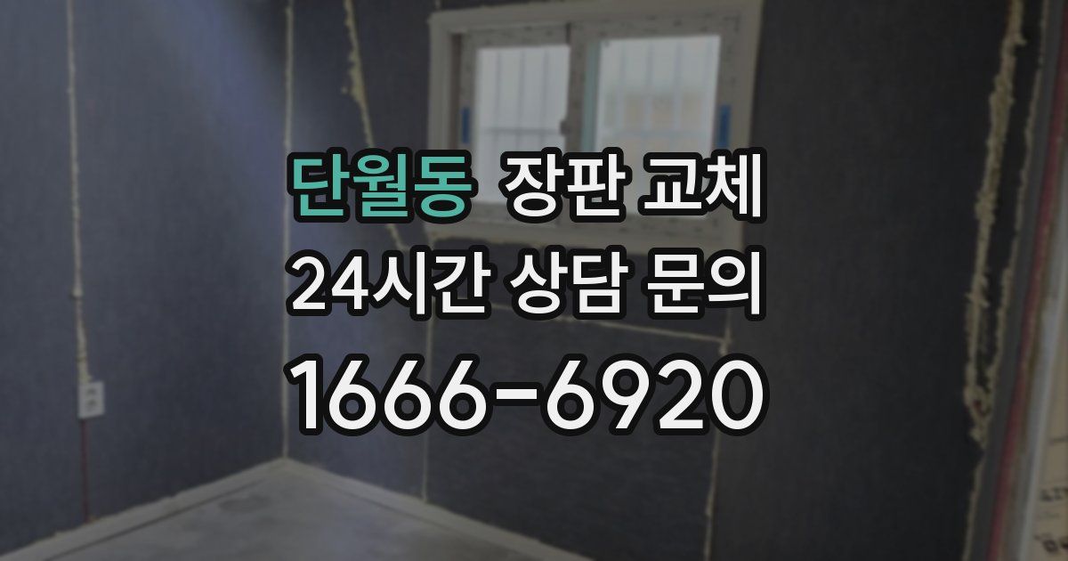 단월동 장판 교체