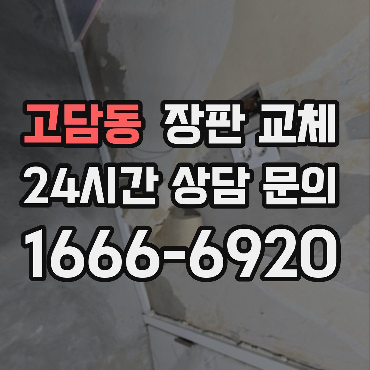 고담동 장판 교체