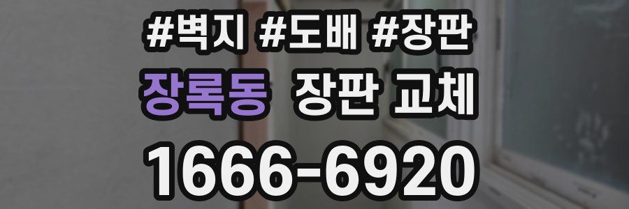 장록동 장판 교체