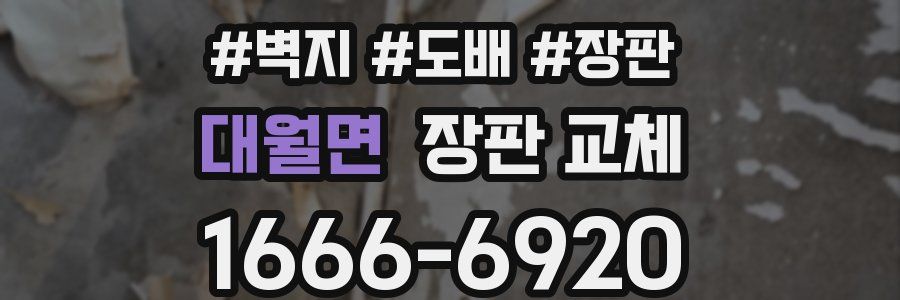 대월면 장판 교체