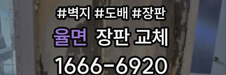 율면 장판 교체
