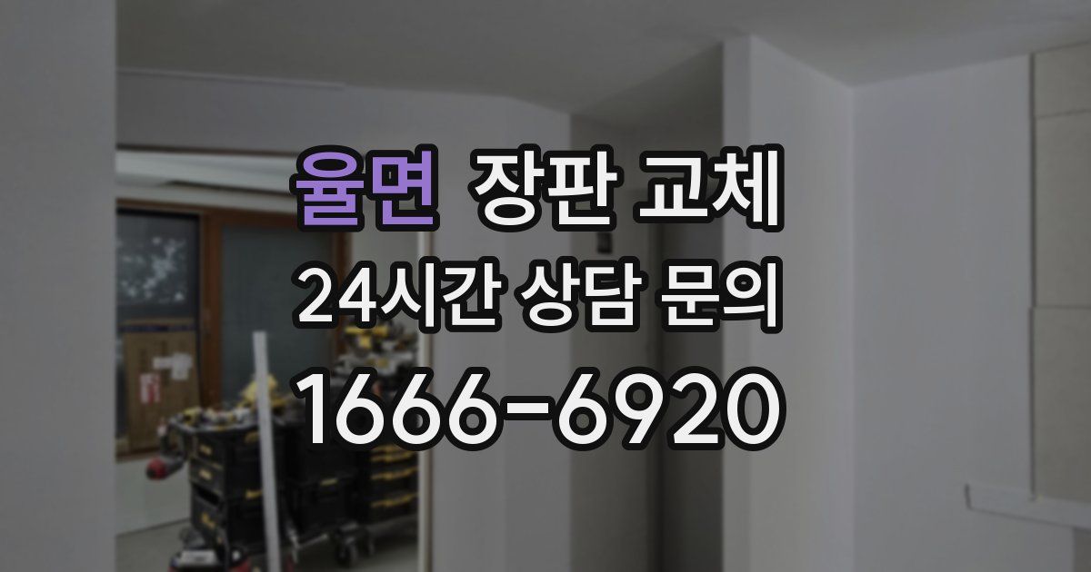 율면 장판 교체