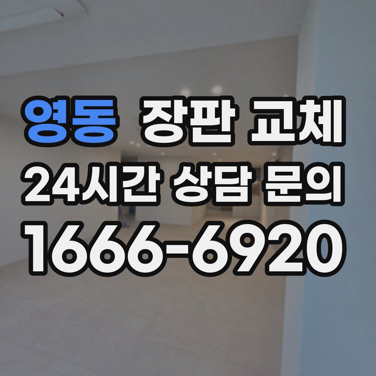 영동 장판 교체