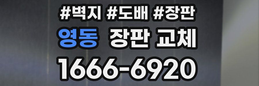 영동 장판 교체