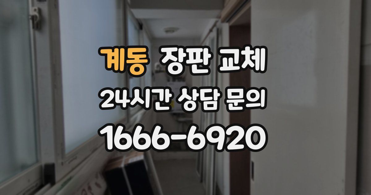 계동 장판 교체