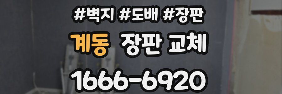 계동 장판 교체