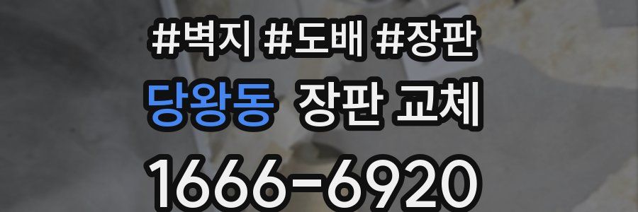 당왕동 장판 교체