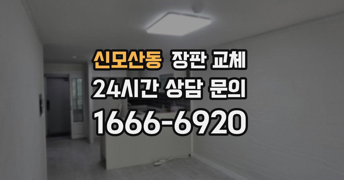 신모산동 장판 교체