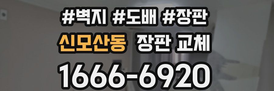 신모산동 장판 교체