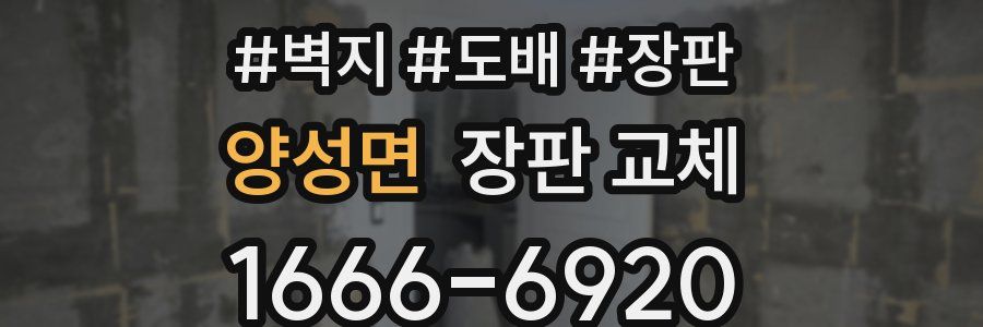 양성면 장판 교체