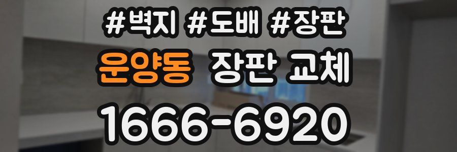 운양동 장판 교체