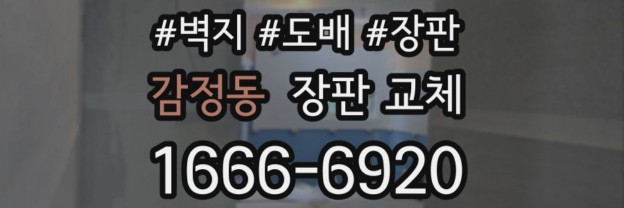 감정동 장판 교체