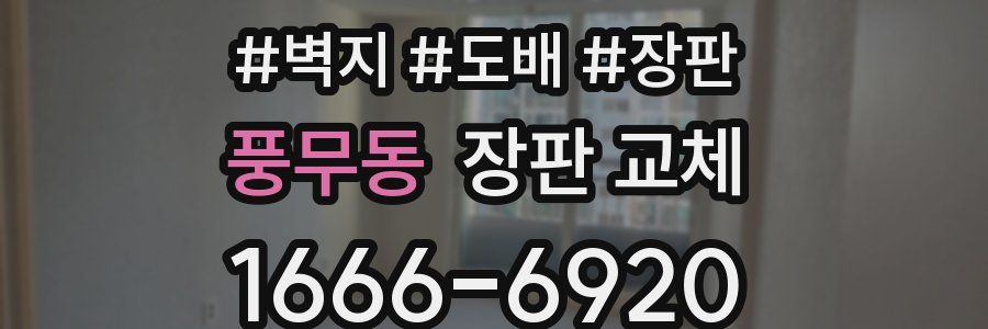 풍무동 장판 교체