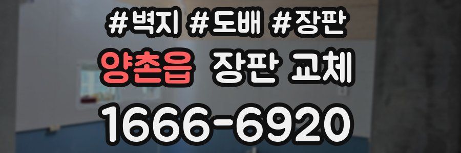 양촌읍 장판 교체