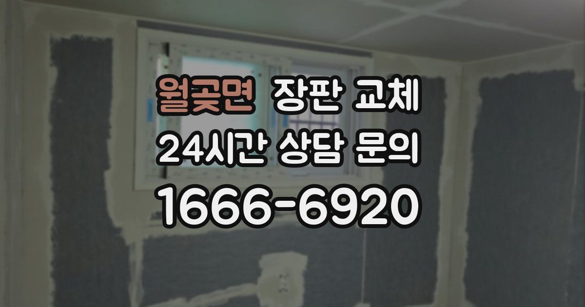 월곶면 장판 교체