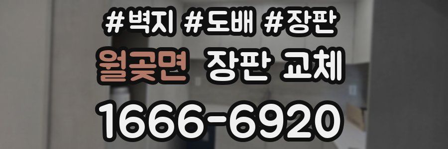 월곶면 장판 교체