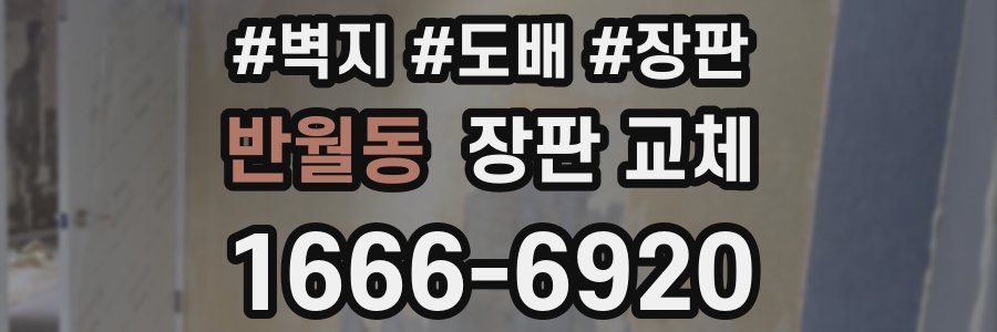 반월동 장판 교체
