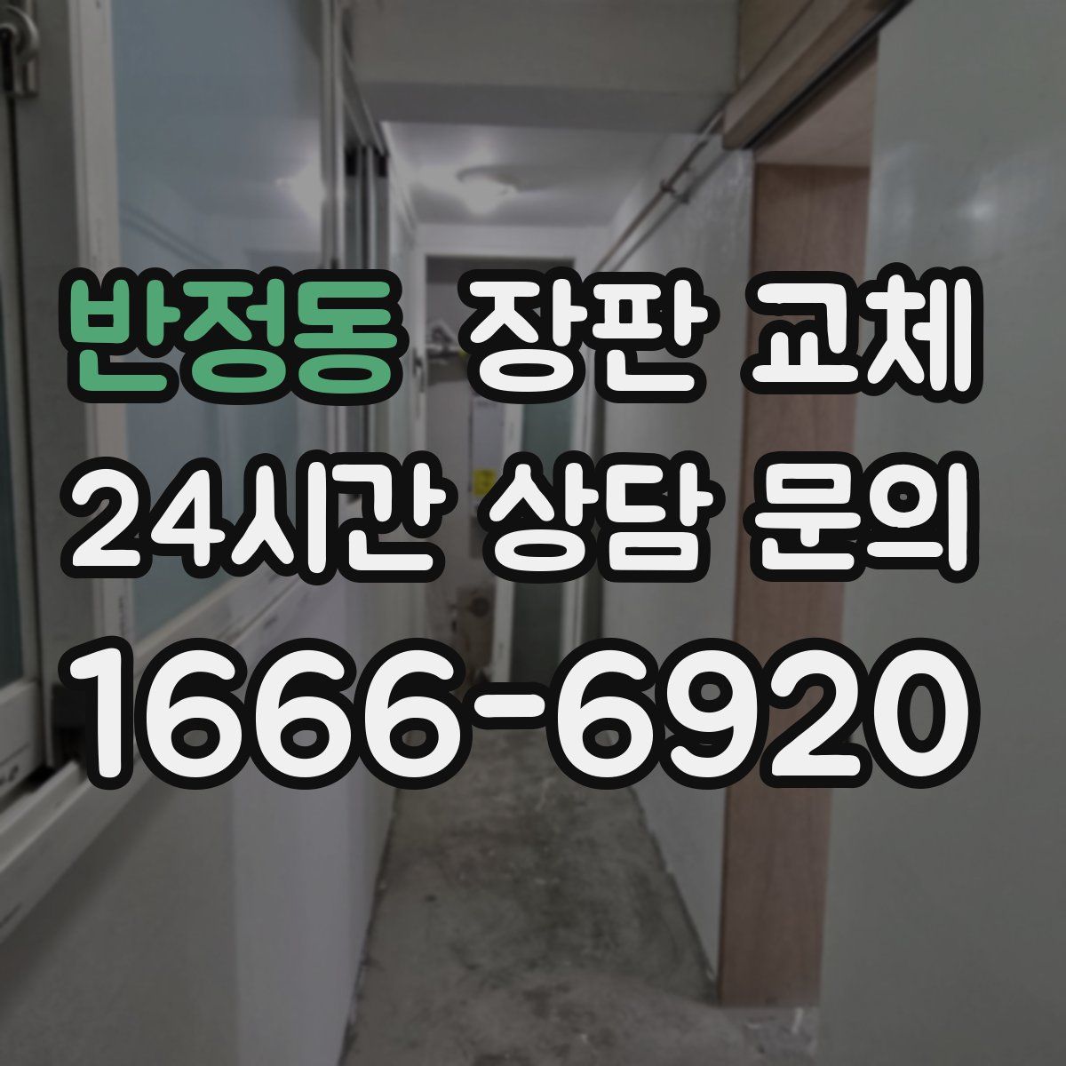 반정동 장판 교체
