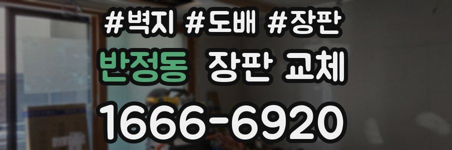 반정동 장판 교체
