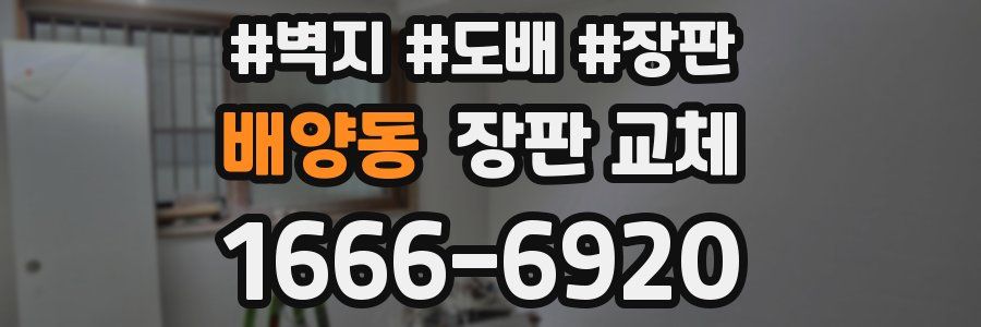 배양동 장판 교체