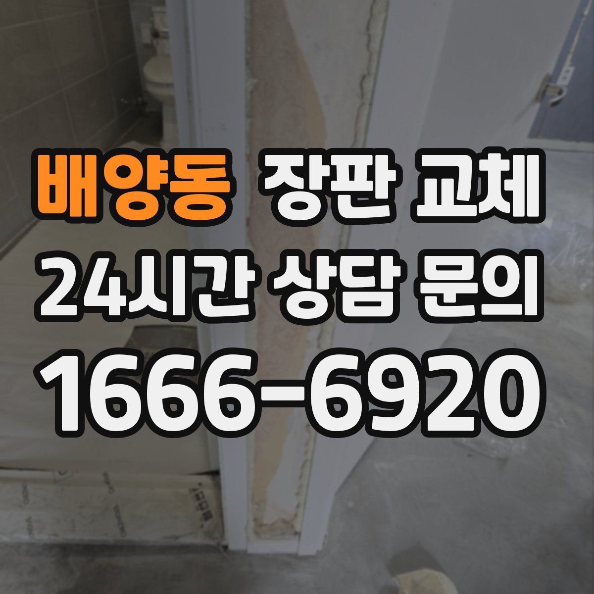 배양동 장판 교체