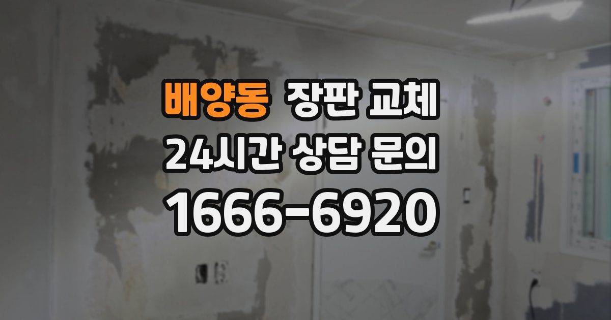 배양동 장판 교체
