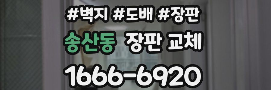 송산동 장판 교체