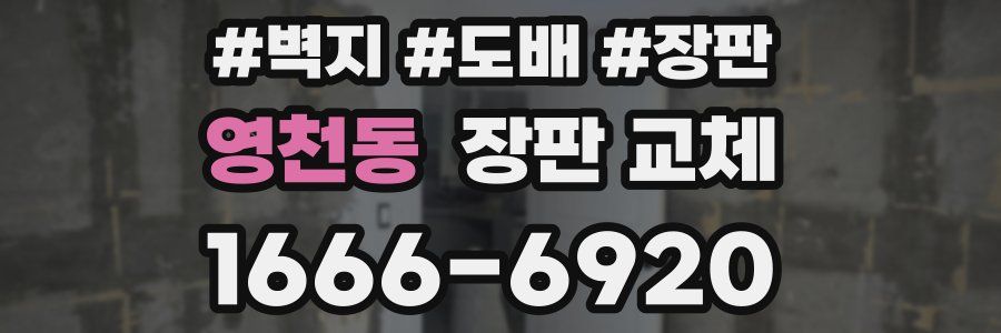 영천동 장판 교체