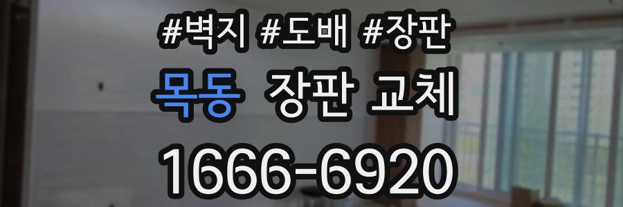 목동 장판 교체