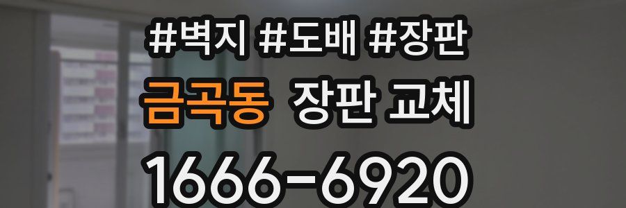 금곡동 장판 교체