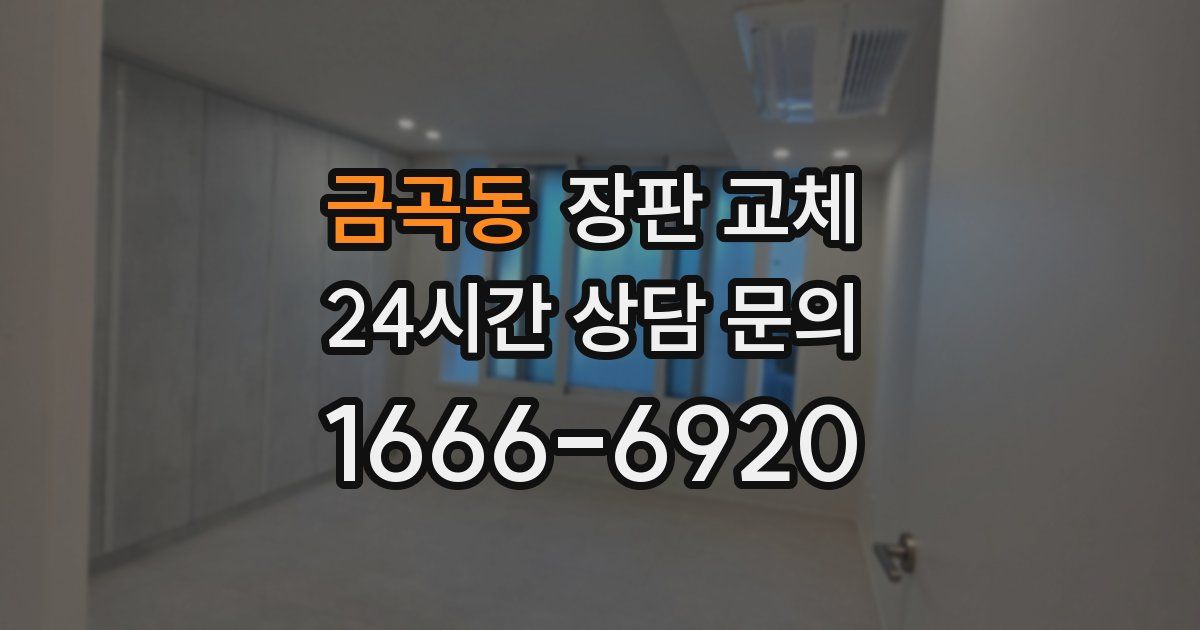 금곡동 장판 교체