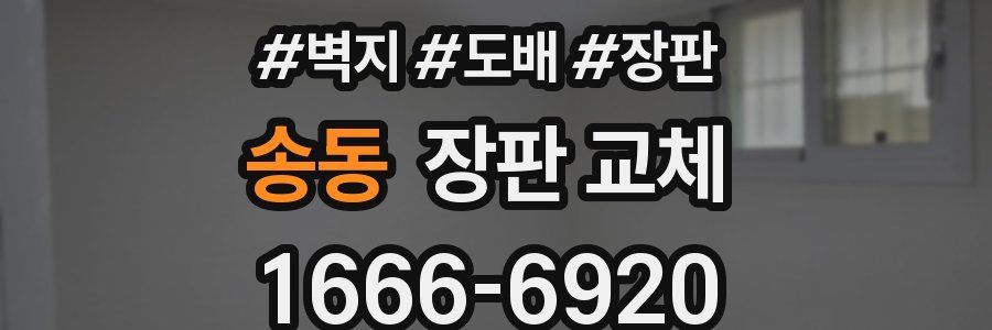 송동 장판 교체