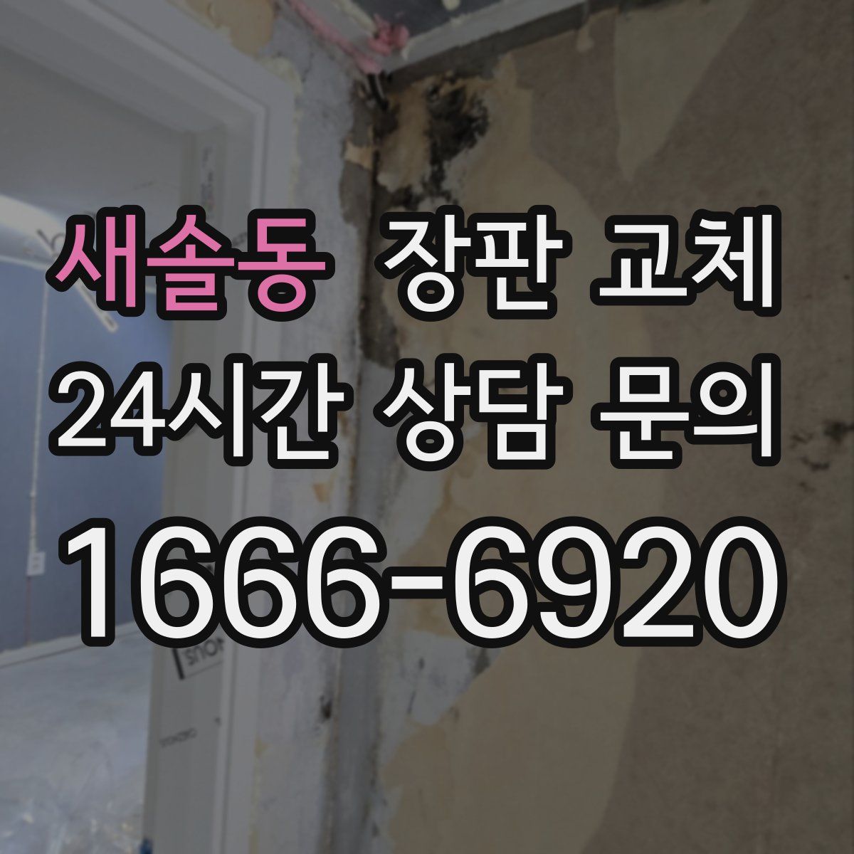 새솔동 장판 교체
