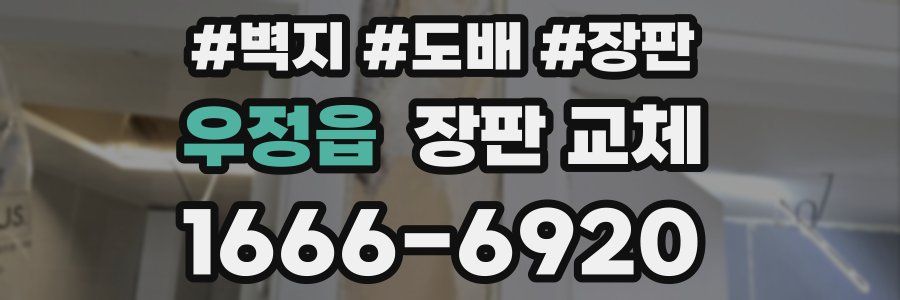 우정읍 장판 교체